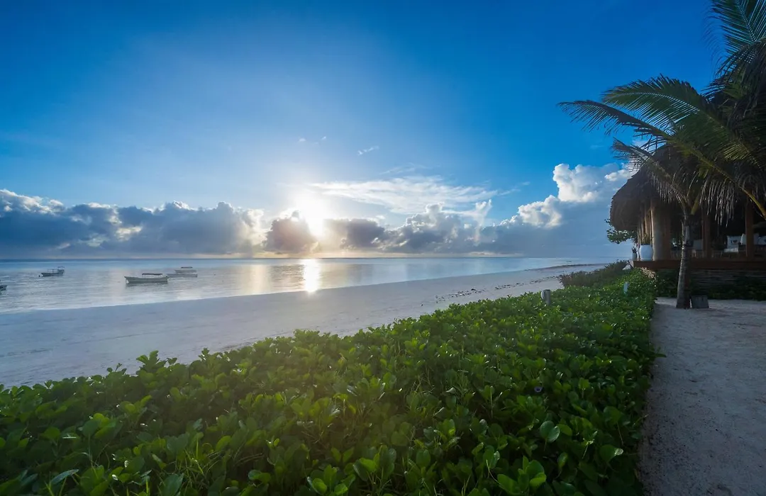 Ocean Boutique Hotel - Adults only-1
